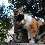 Il Castello Дом отдыха Тускания
